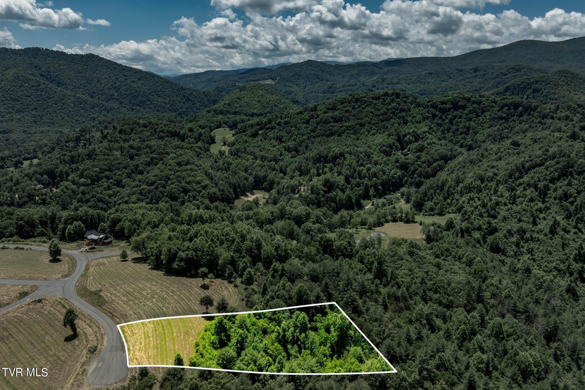 Lot 45 Eagle Ridge Parkway, Butler, Tennessee image 6