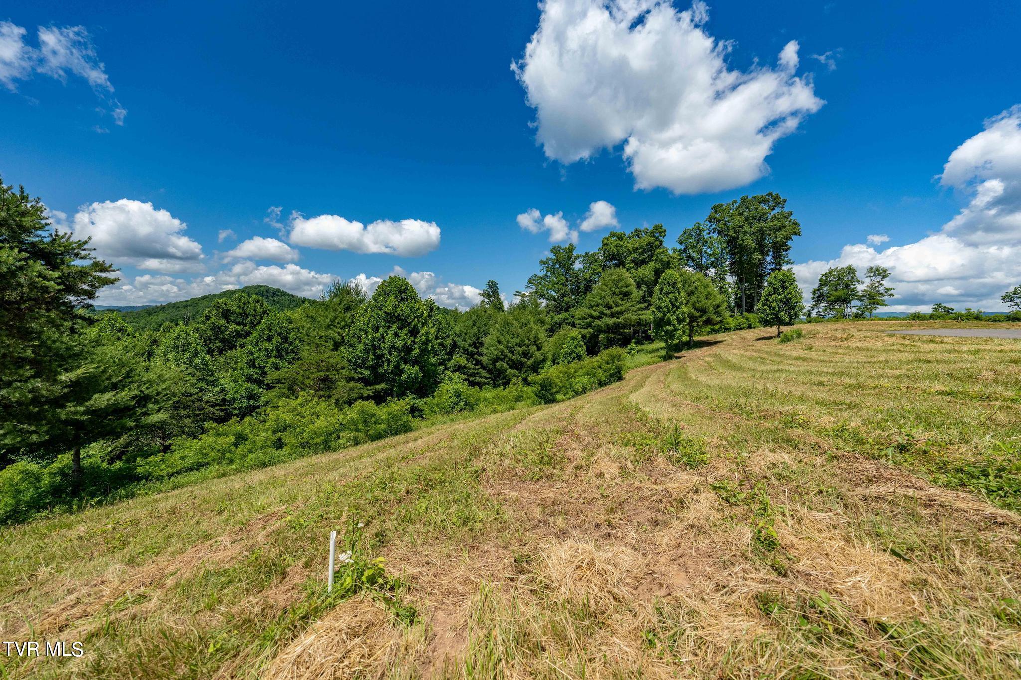 Lot 45 Eagle Ridge Parkway, Butler, Tennessee image 9