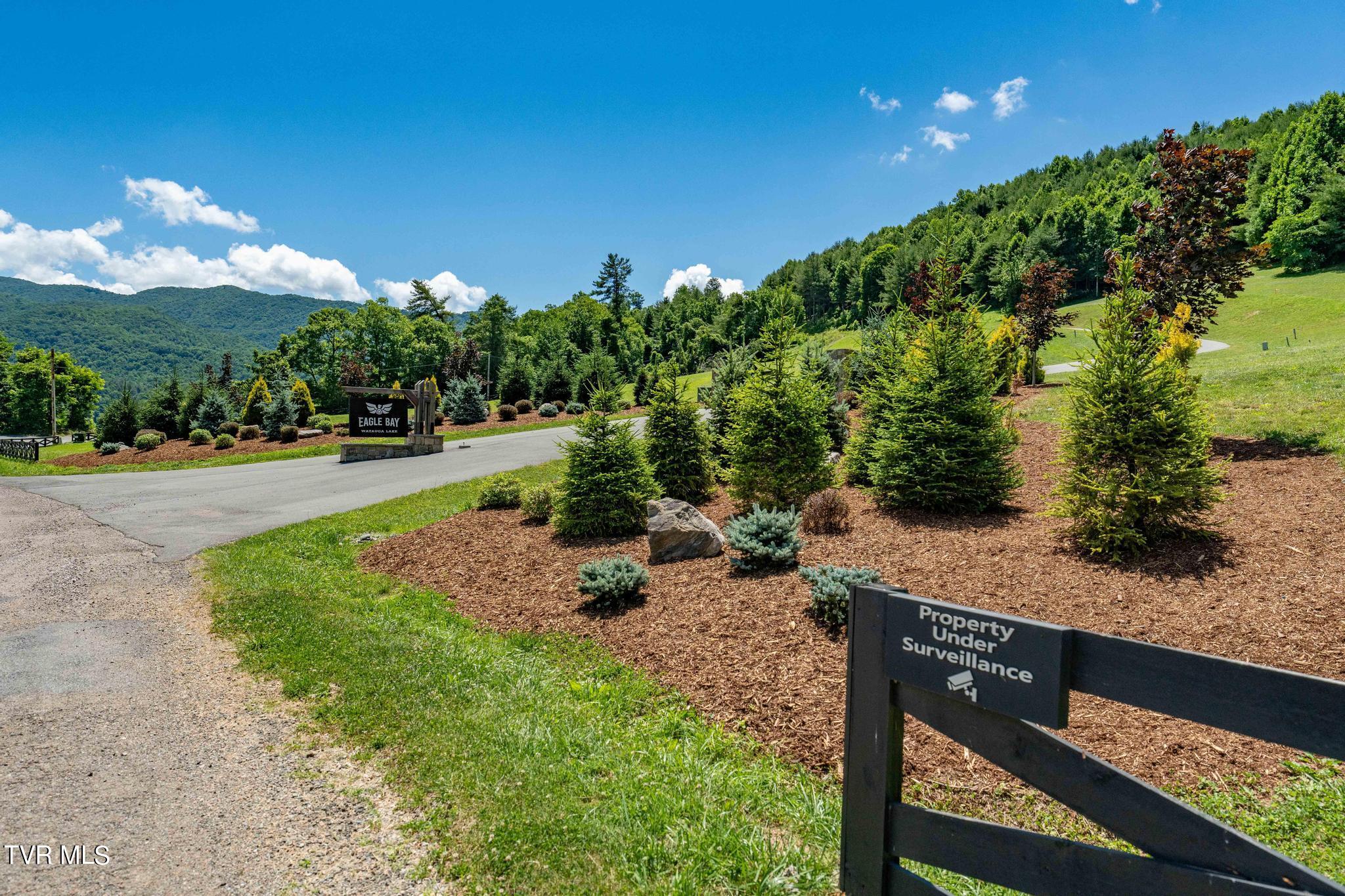 Lot 45 Eagle Ridge Parkway, Butler, Tennessee image 45