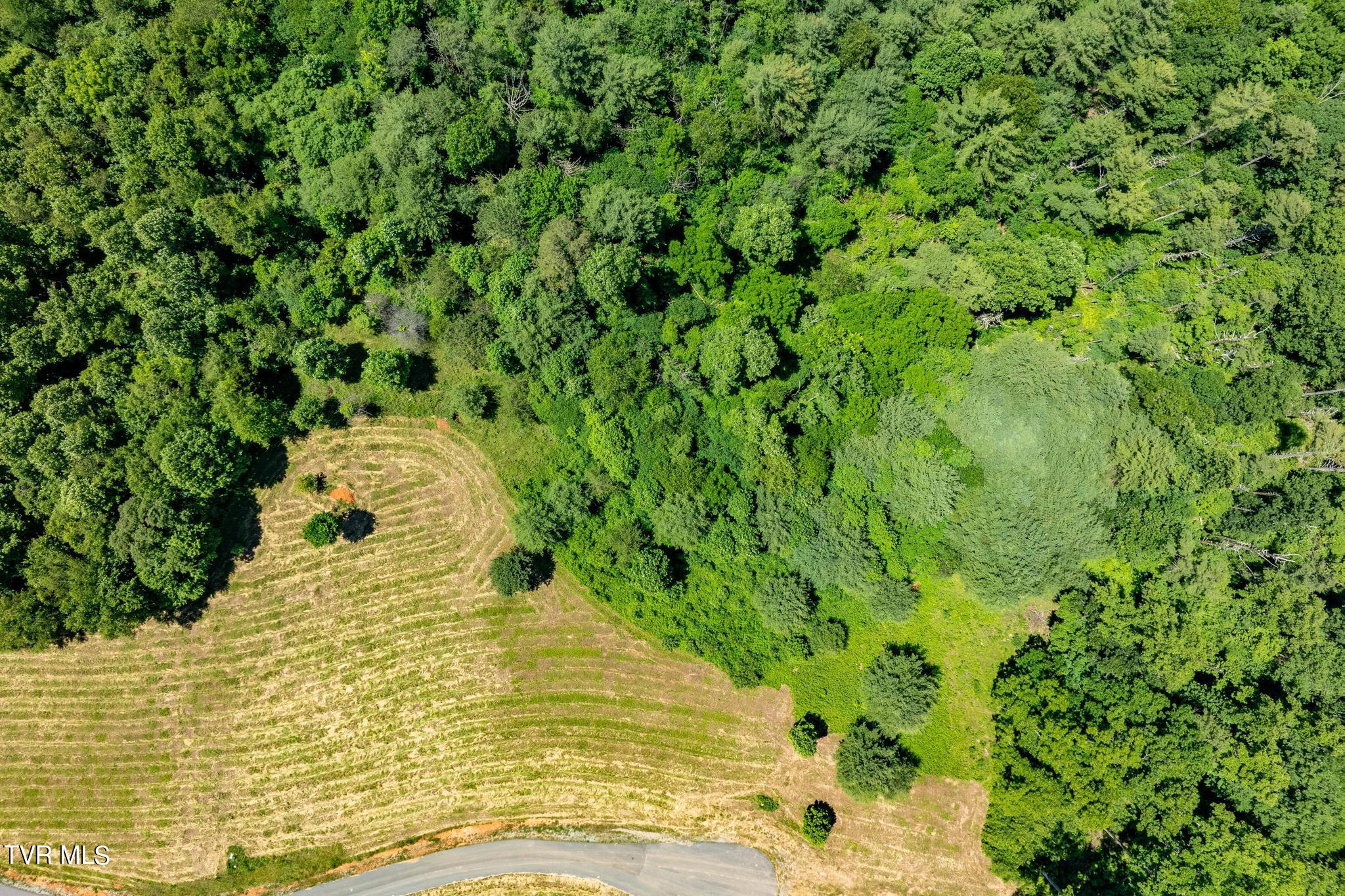 Lot 45 Eagle Ridge Parkway, Butler, Tennessee image 19