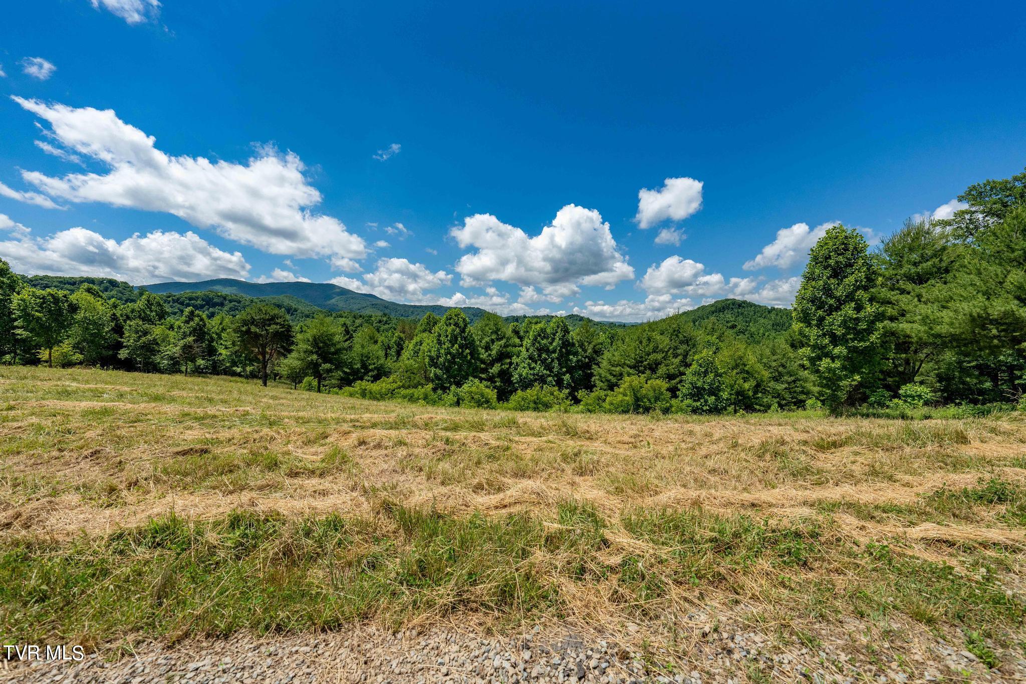 Lot 45 Eagle Ridge Parkway, Butler, Tennessee image 14