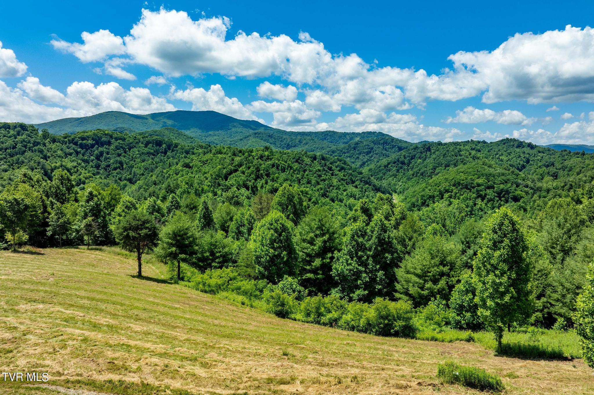 Lot 45 Eagle Ridge Parkway, Butler, Tennessee image 3