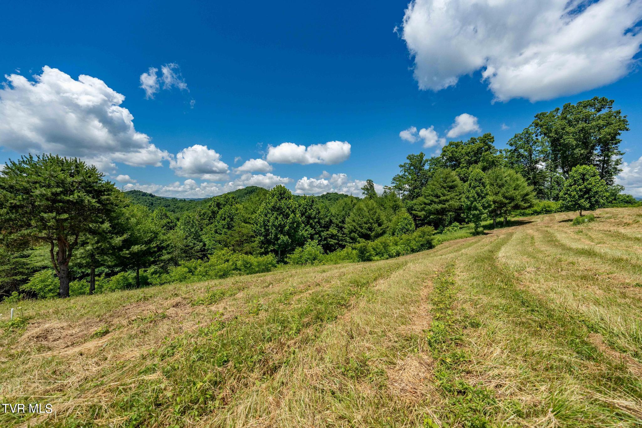 Lot 45 Eagle Ridge Parkway, Butler, Tennessee image 8