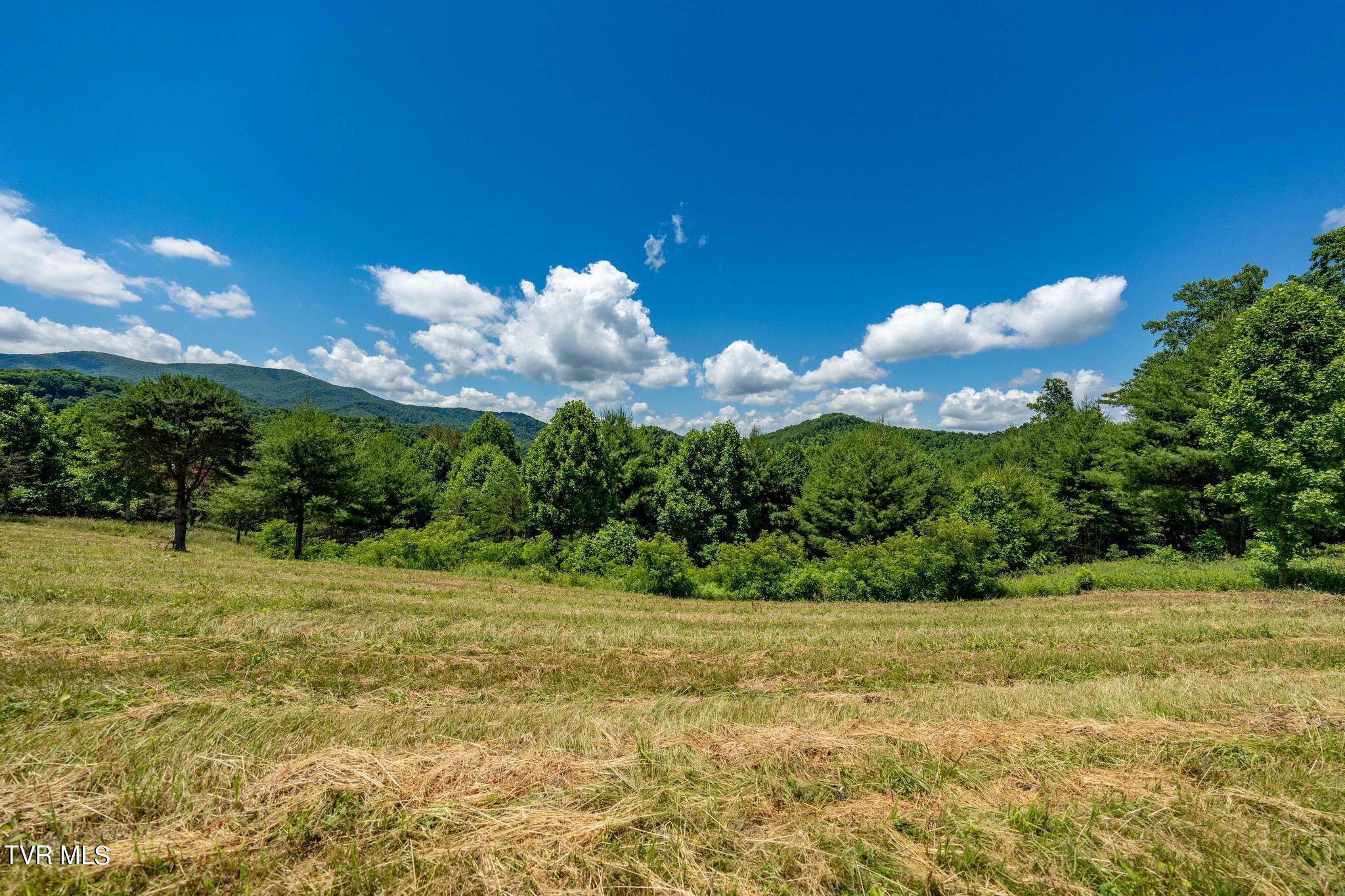 Lot 45 Eagle Ridge Parkway, Butler, Tennessee image 4