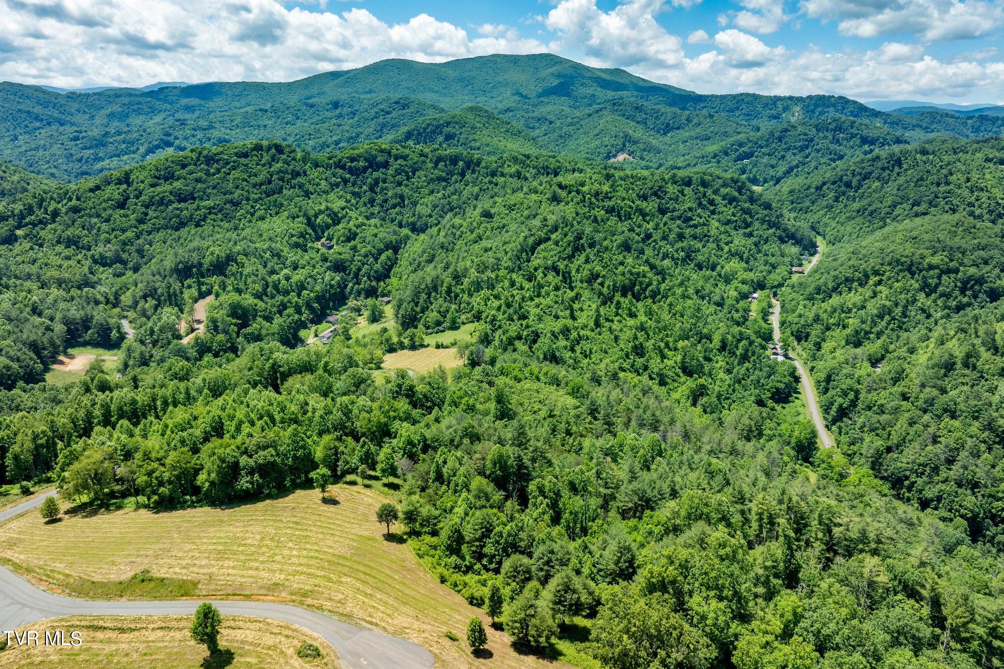 Lot 45 Eagle Ridge Parkway, Butler, Tennessee image 25