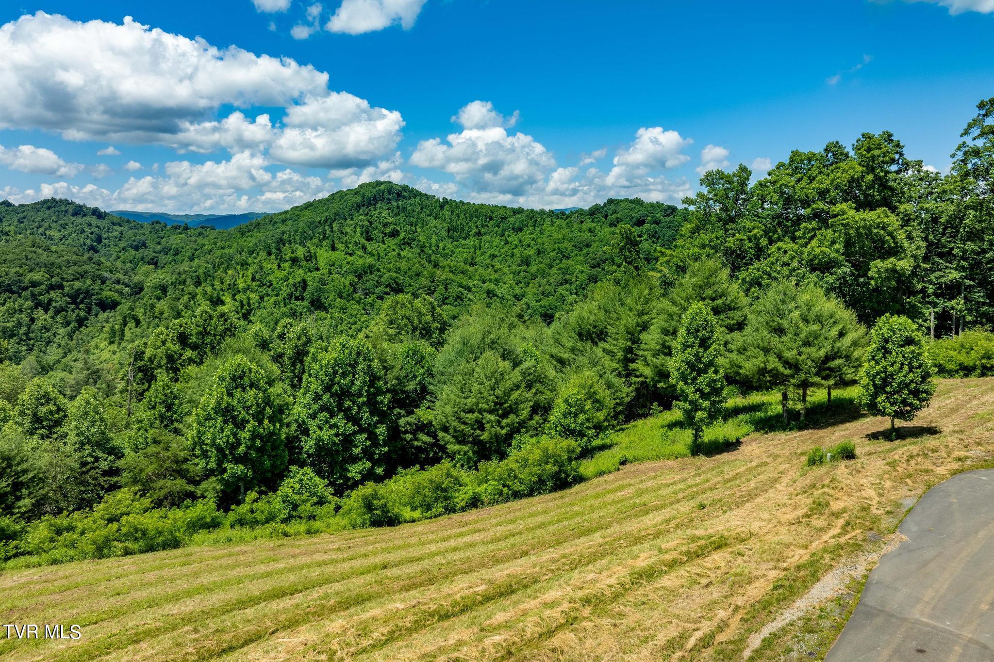 Lot 45 Eagle Ridge Parkway, Butler, Tennessee image 17