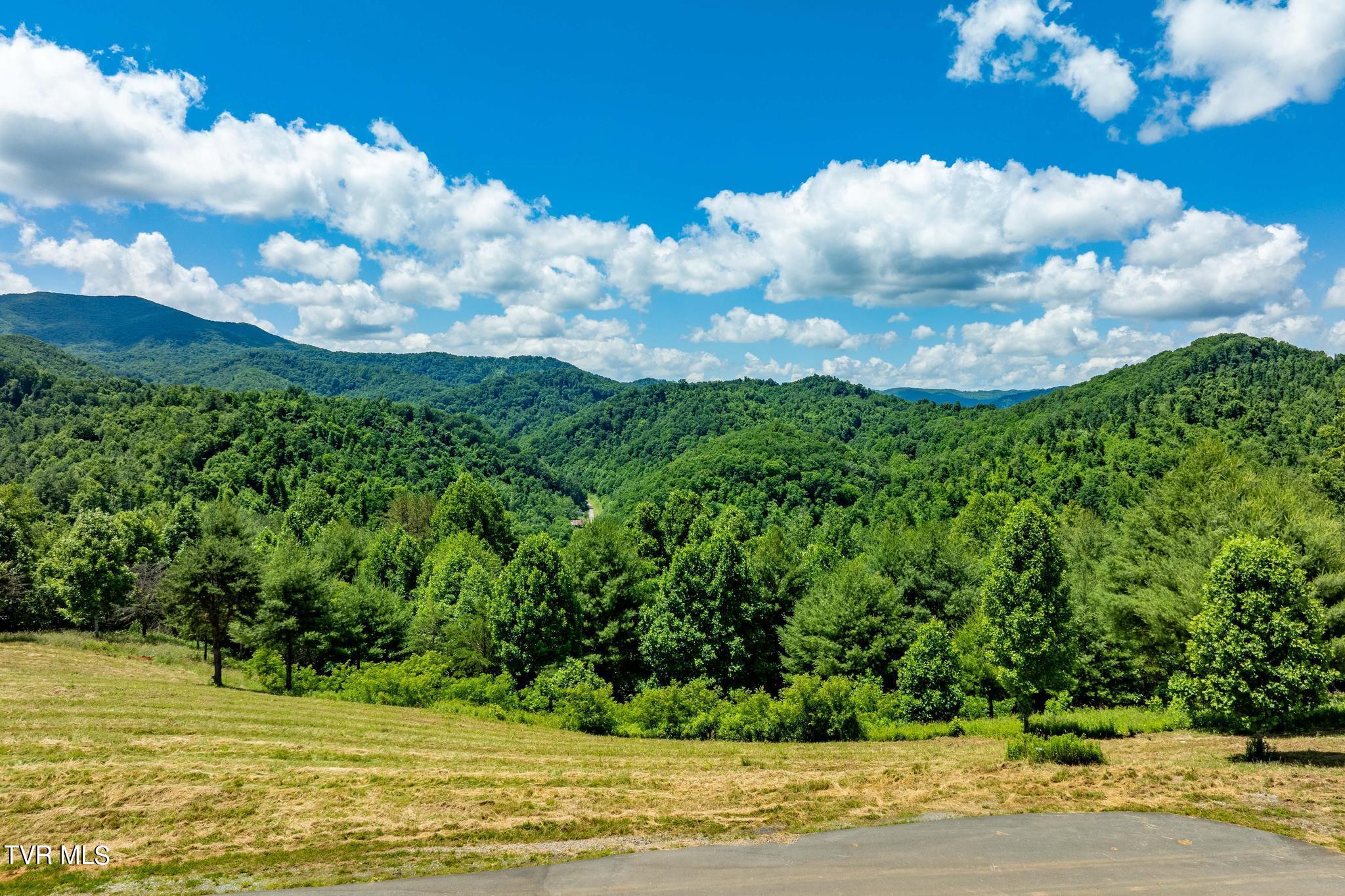 Lot 45 Eagle Ridge Parkway, Butler, Tennessee image 18