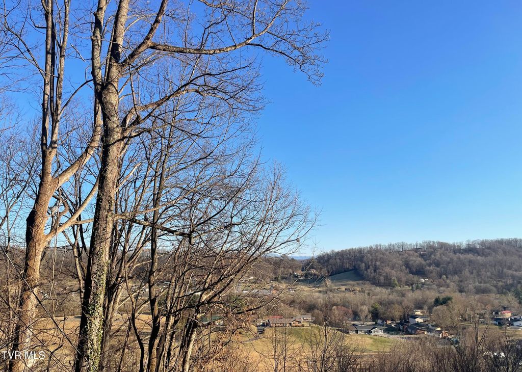 Photo of Tbd Chestnut Ridge Road, Kingsport, TN 37664 (MLS # 9976663)