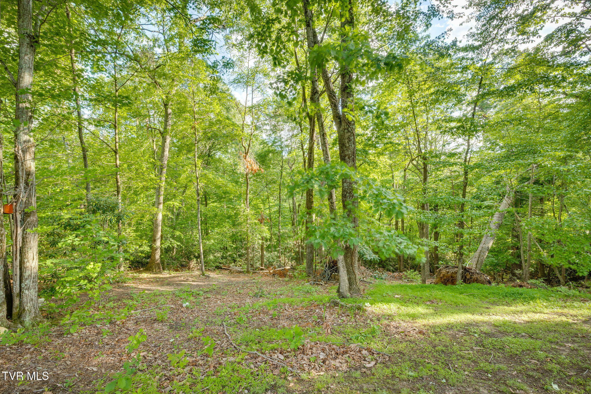 373 Mckeehan Ridge Road, Elizabethton, Tennessee image 43