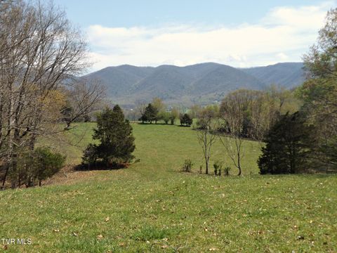 Vacant Land For Sale - 855 Willow Springs Road<br/> Elizabethton, TN 37643