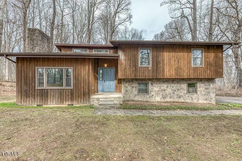 Photo of 2201 Nantucket Road, Johnson City, TN 37604 (MLS # 9992281)