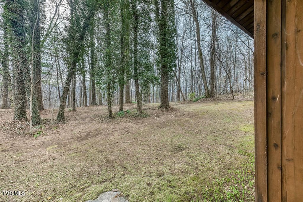 Photo of 2201 Nantucket Road, Johnson City, TN 37604 (MLS # 9992281)