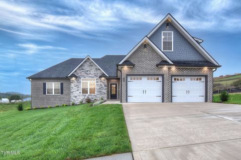 51 Glaze Farm Way Johnson City TN 37601