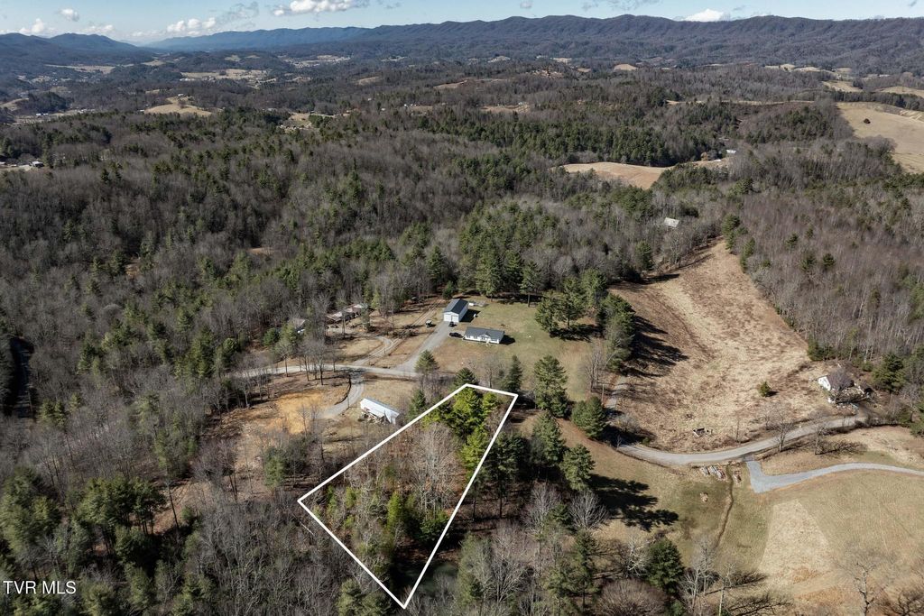 Photo of 828 Red Brush Road, Mountain City, TN 37683 (MLS # 9991749)