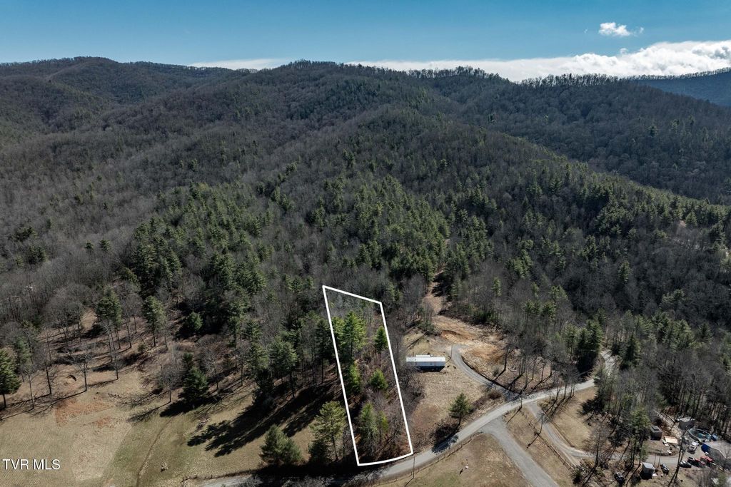 Photo of 828 Red Brush Road, Mountain City, TN 37683 (MLS # 9991749)