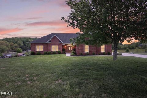 Photo of 121 Sunnyfield Drive, Blountville, TN 37617 (MLS # 9994440)