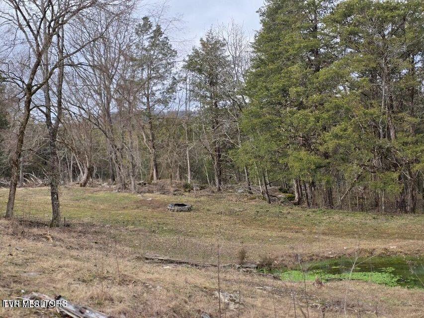 4029 Pawpaw Road, Thorn Hill, Tennessee image 16