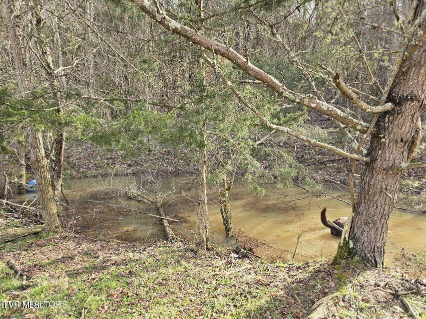 4029 Pawpaw Road, Thorn Hill, Tennessee image 45