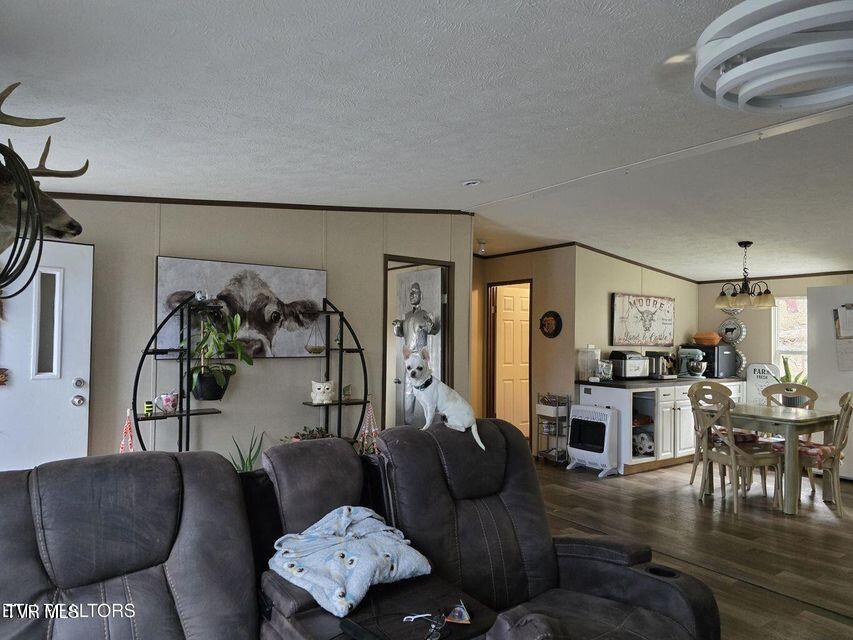 4029 Pawpaw Road, Thorn Hill, Tennessee image 39