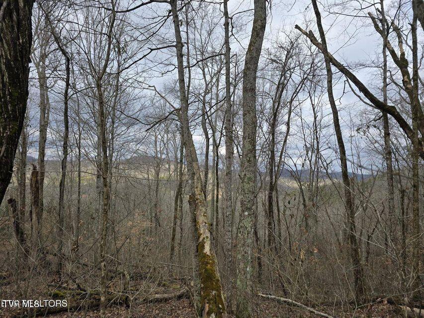 4029 Pawpaw Road, Thorn Hill, Tennessee image 21