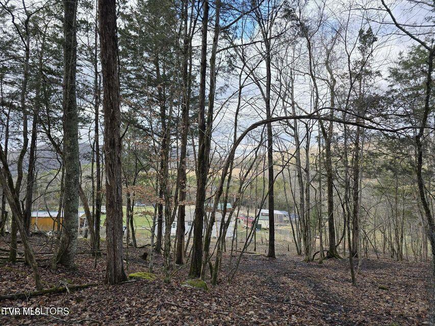 4029 Pawpaw Road, Thorn Hill, Tennessee image 26