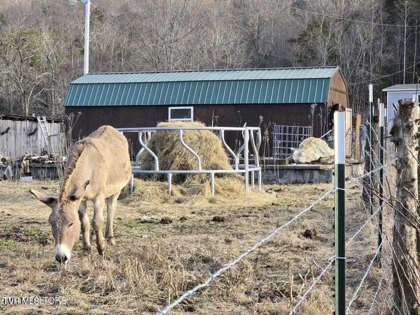 4029 Pawpaw Road, Thorn Hill, Tennessee image 18