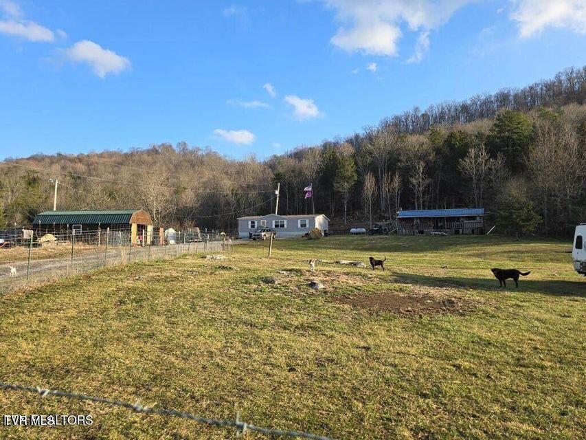 4029 Pawpaw Road, Thorn Hill, Tennessee image 6