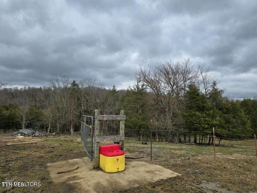 4029 Pawpaw Road, Thorn Hill, Tennessee image 12