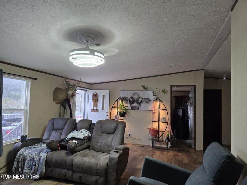 4029 Pawpaw Road, Thorn Hill, Tennessee image 36
