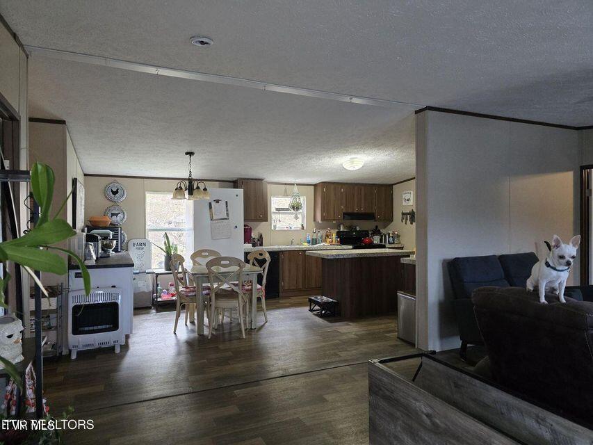 4029 Pawpaw Road, Thorn Hill, Tennessee image 30