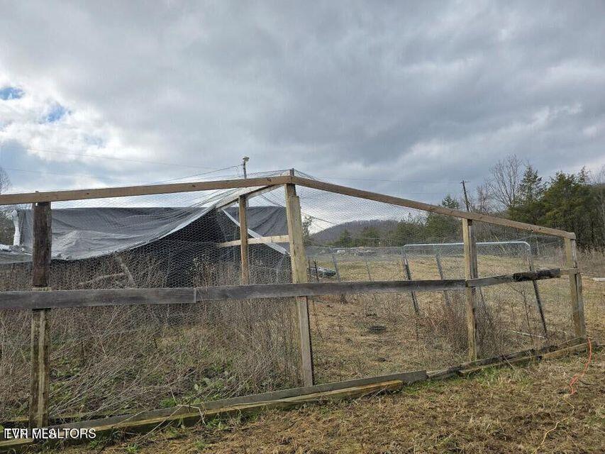 4029 Pawpaw Road, Thorn Hill, Tennessee image 13