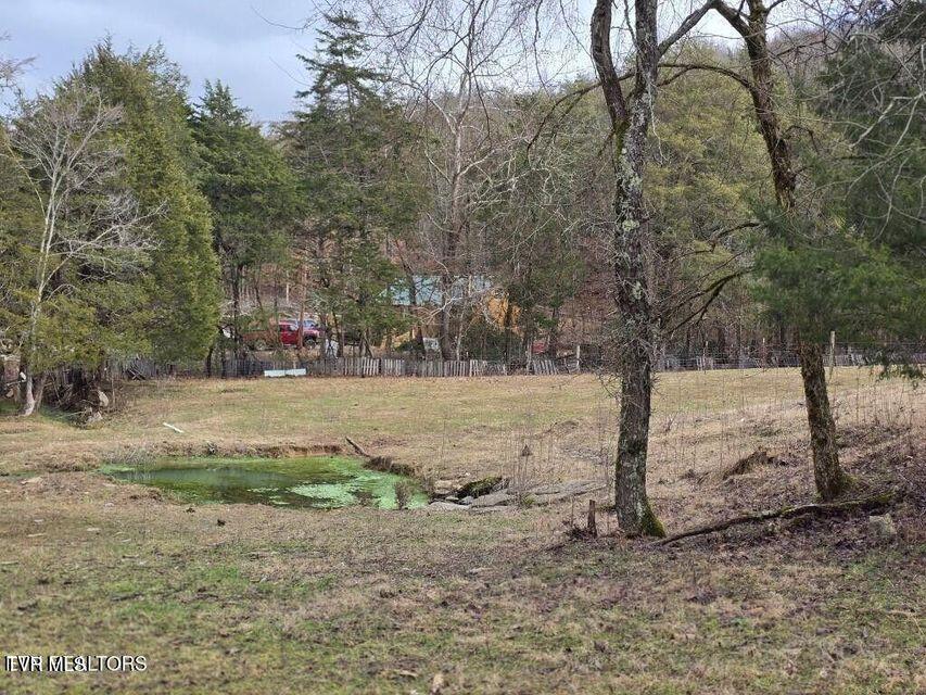 4029 Pawpaw Road, Thorn Hill, Tennessee image 14