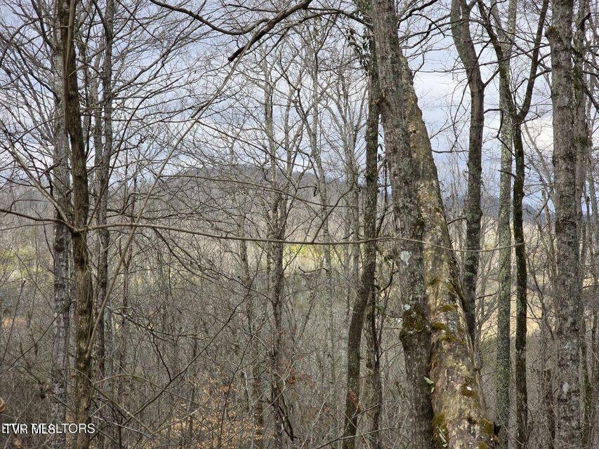 4029 Pawpaw Road, Thorn Hill, Tennessee image 23