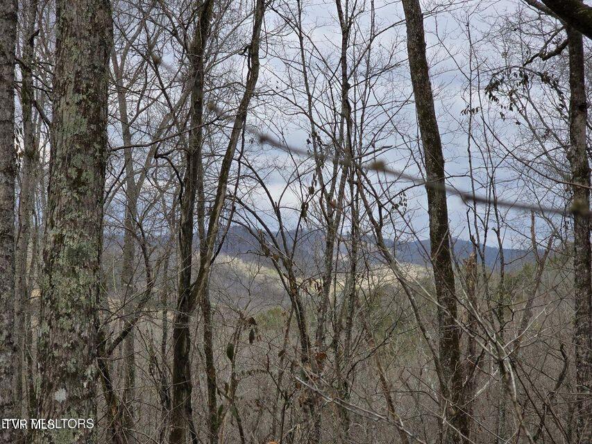 4029 Pawpaw Road, Thorn Hill, Tennessee image 22