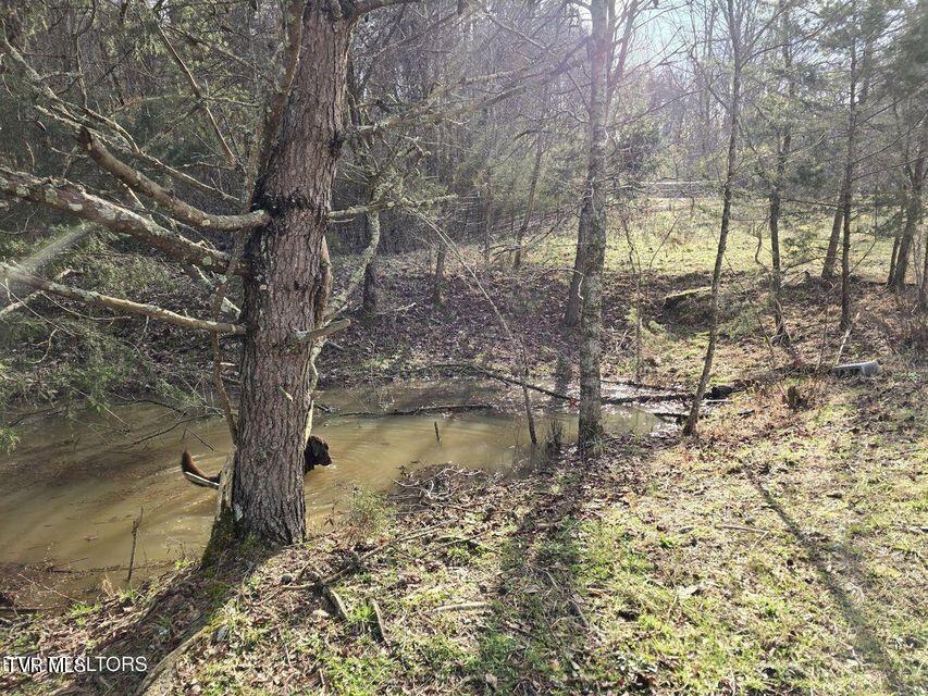 4029 Pawpaw Road, Thorn Hill, Tennessee image 46