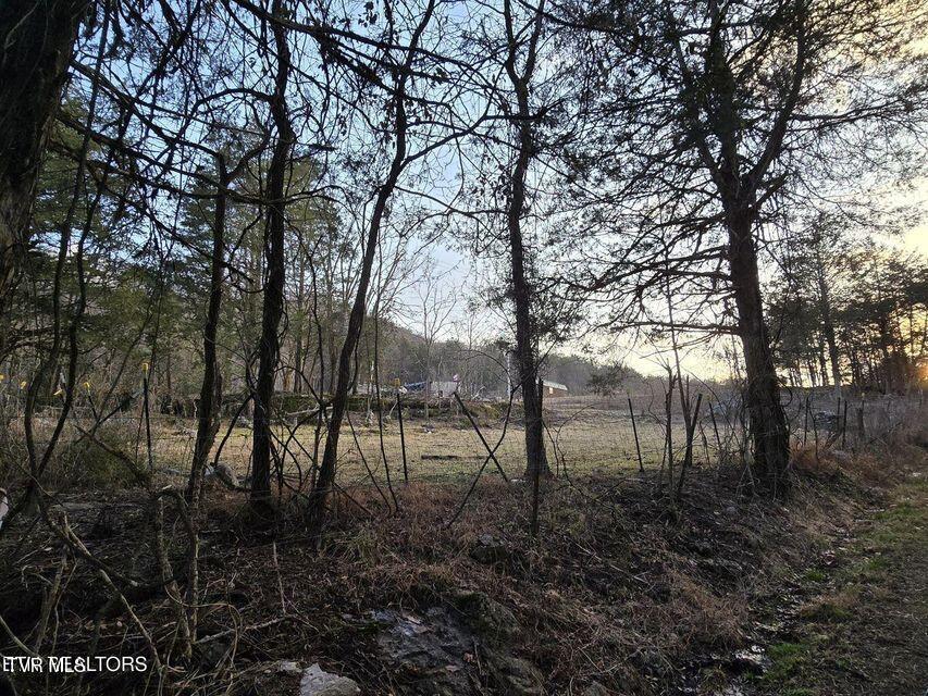 4029 Pawpaw Road, Thorn Hill, Tennessee image 8