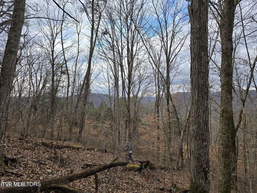 4029 Pawpaw Road, Thorn Hill, Tennessee image 25