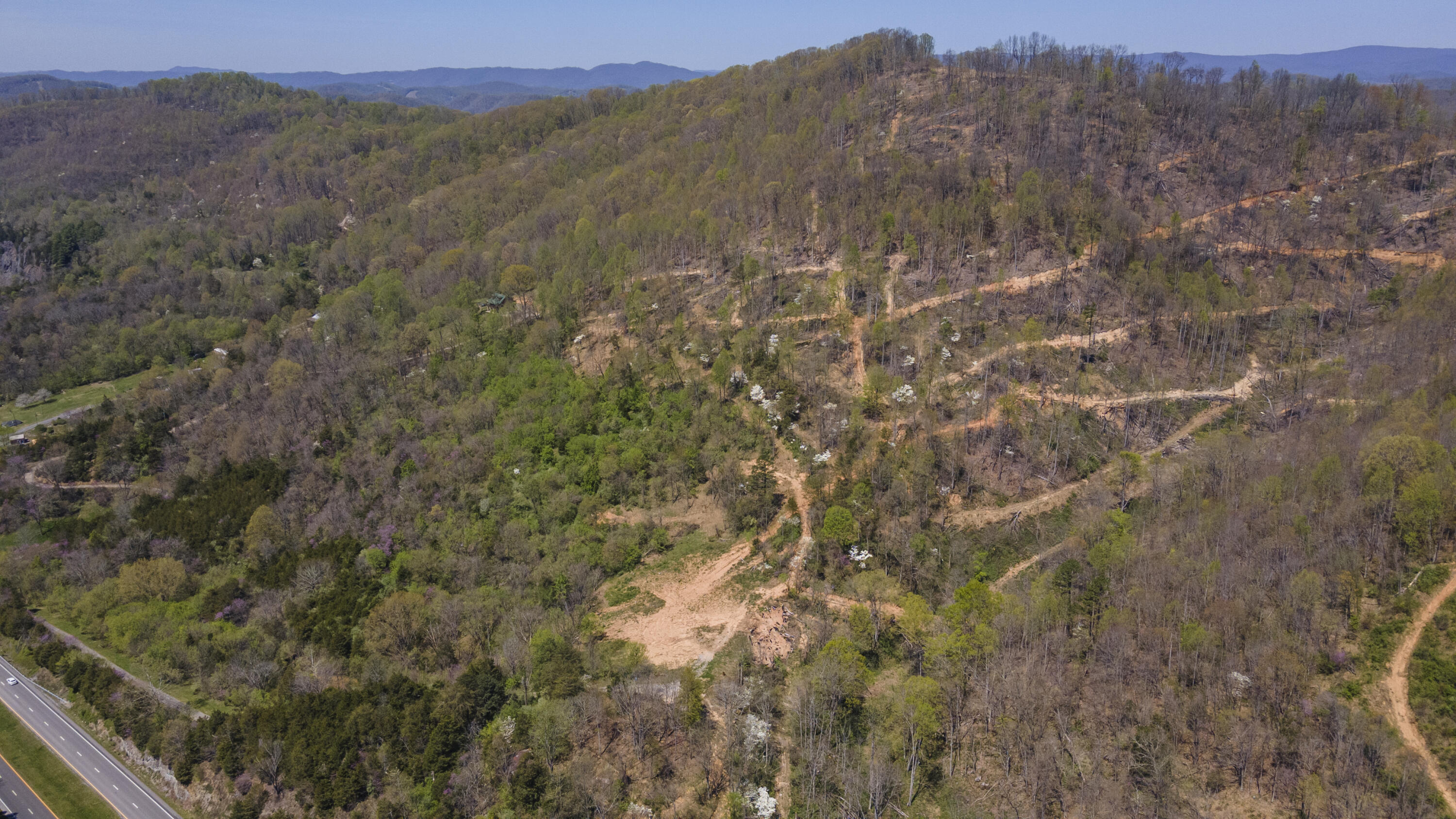 Gray Pine Lane, Gate City, Virginia image 2