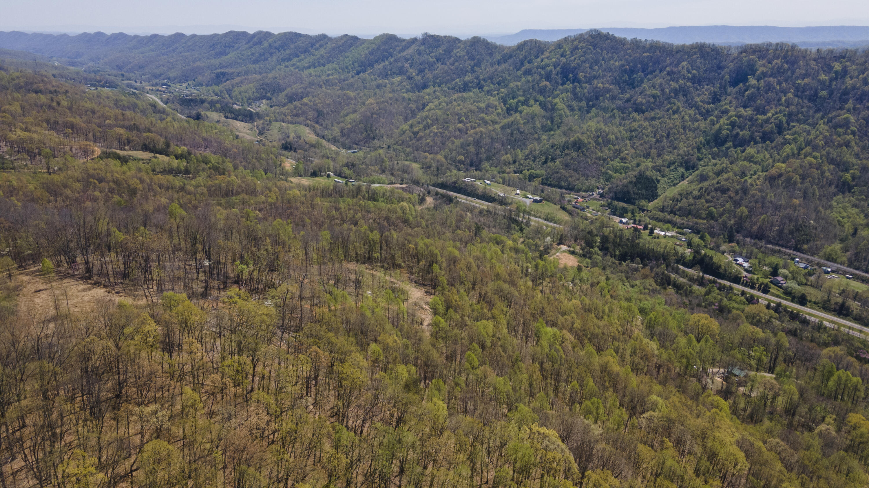 Gray Pine Lane, Gate City, Virginia image 11