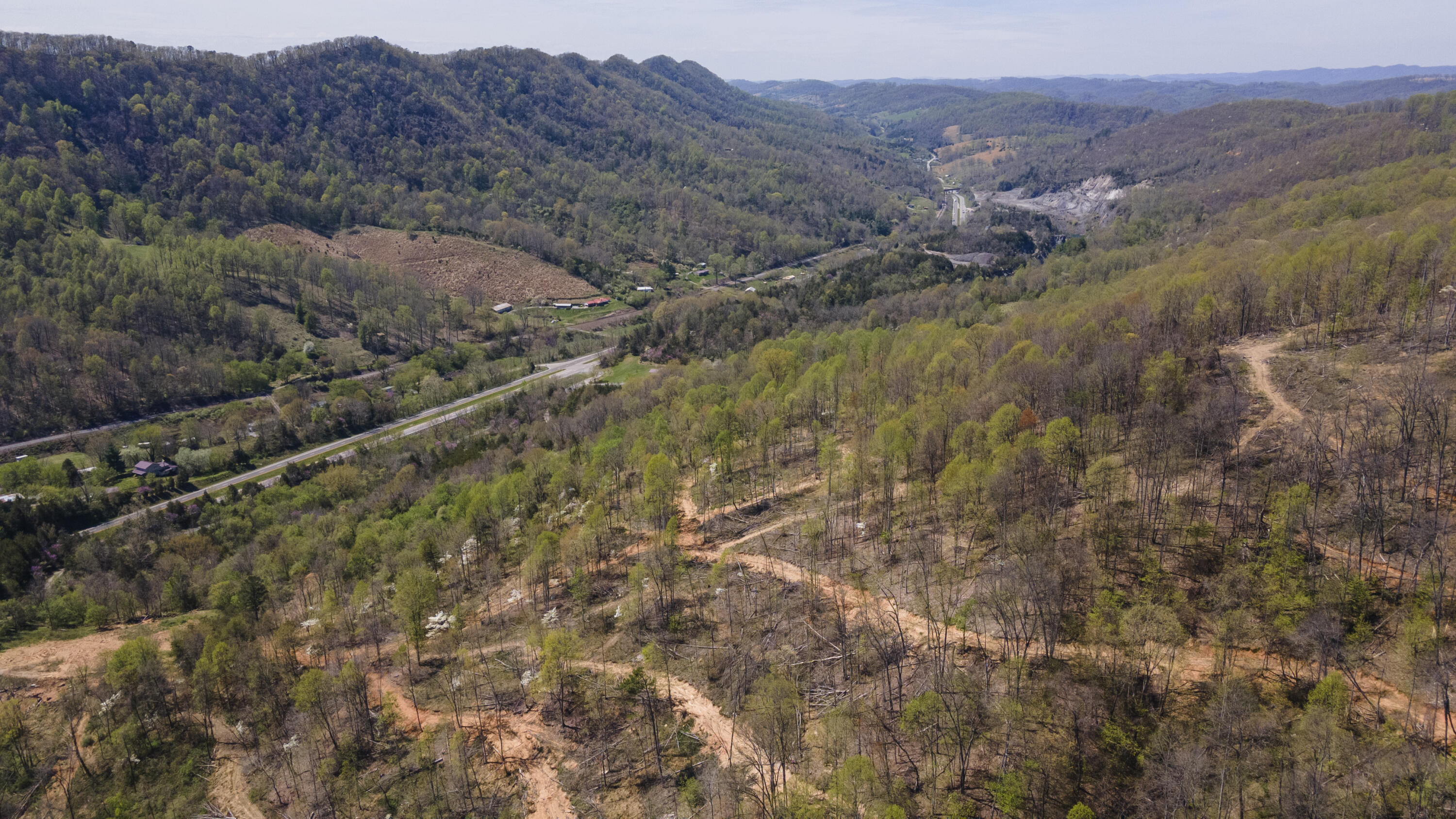 Gray Pine Lane, Gate City, Virginia image 4