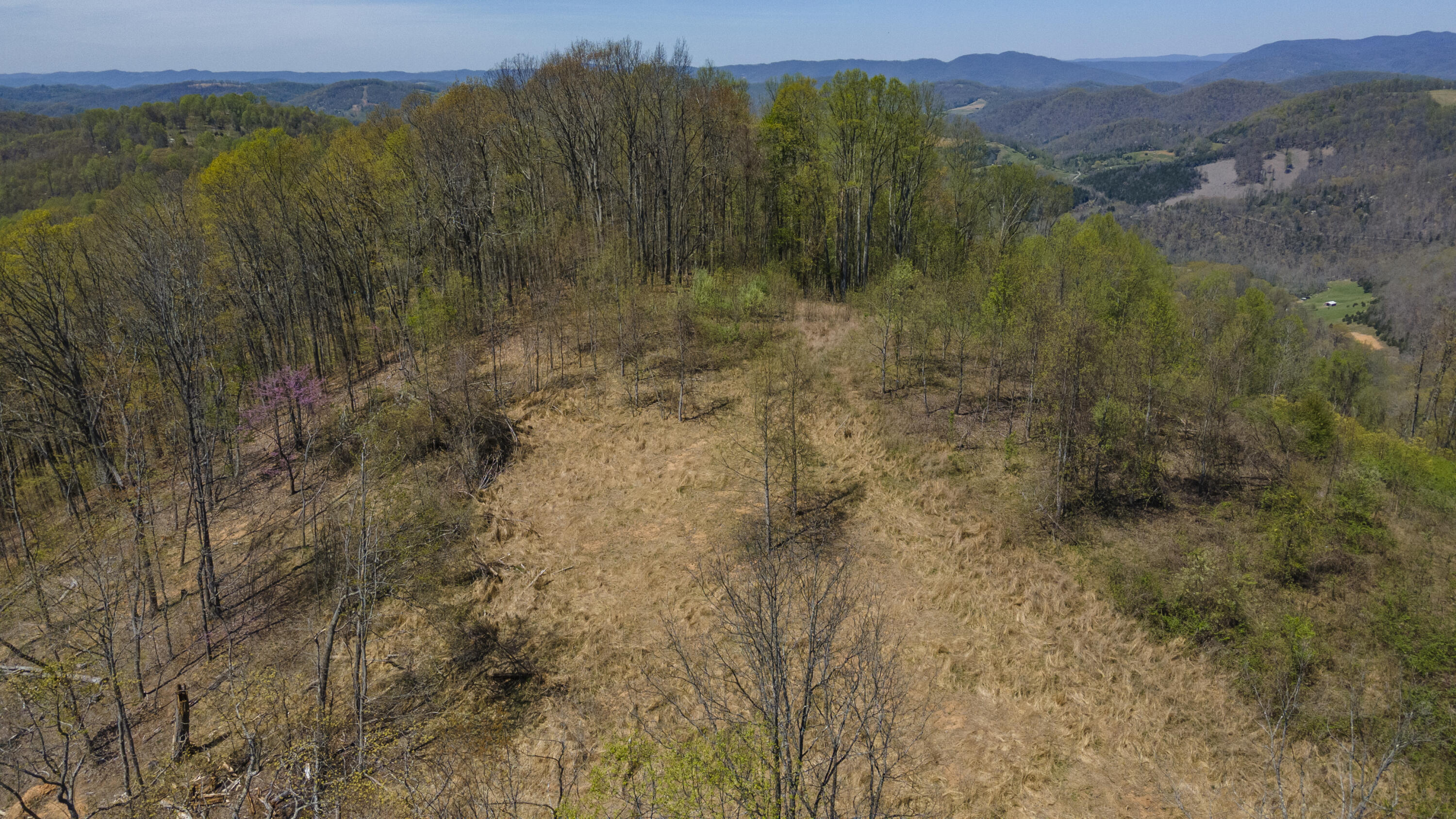 Gray Pine Lane, Gate City, Virginia image 7