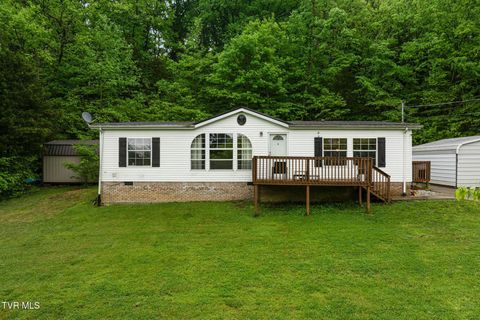 Photo of 250 Dogwalk Road, Greeneville, TN 37745 (MLS # 9994806)