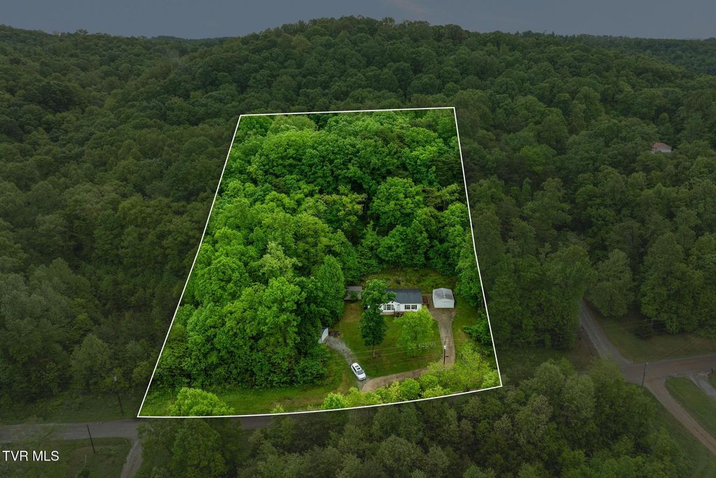 Photo of 250 Dogwalk Road, Greeneville, TN 37745 (MLS # 9994806)