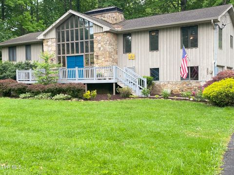 203 Oak Lane Johnson City TN 37604