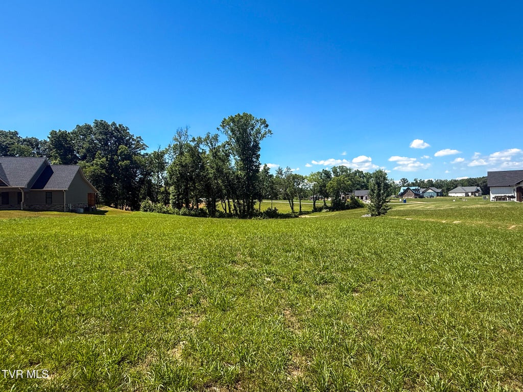 Photo of 50 Sunset Boulevard, White Pine, TN 37890 (MLS # 9998324)