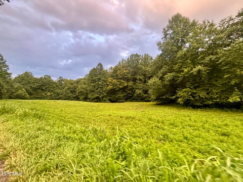 Vacant Land For Sale - TBD Hubbard Springs Road<br/> Jonesville, VA 24263