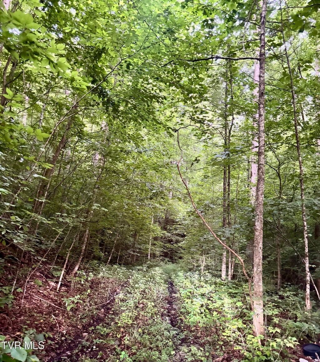 Photo of Tbd Hubbard Springs Road, Jonesville, VA 24263 (MLS # 9999039)