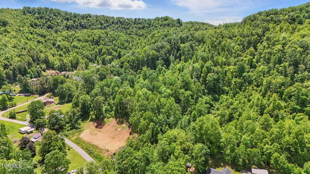 Photo of Tbd Hash Hollow Road, Wise, VA 24293 (MLS # 9980628)