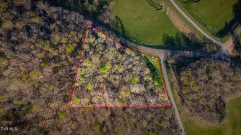 Vacant Land For Sale - 2.74 ACRES Bright Hope Road<br/> Greeneville, TN 37743