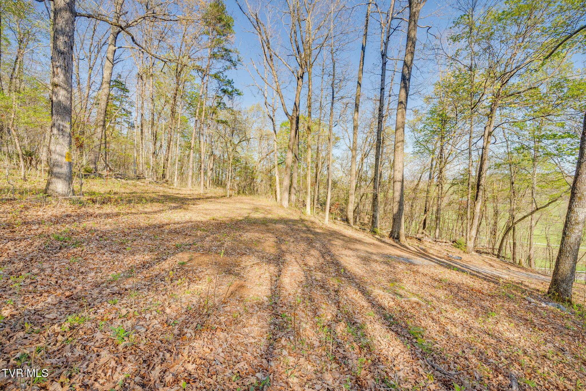 Bright Hope Road, Greeneville, Tennessee image 7